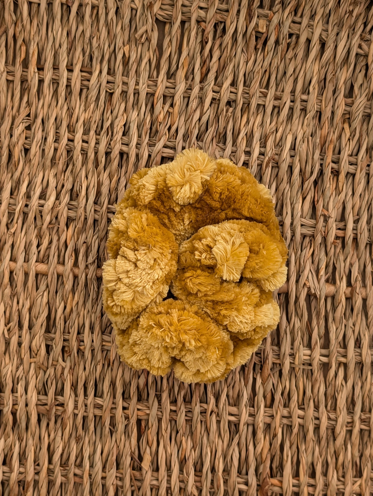 the Velvet Scrunchie