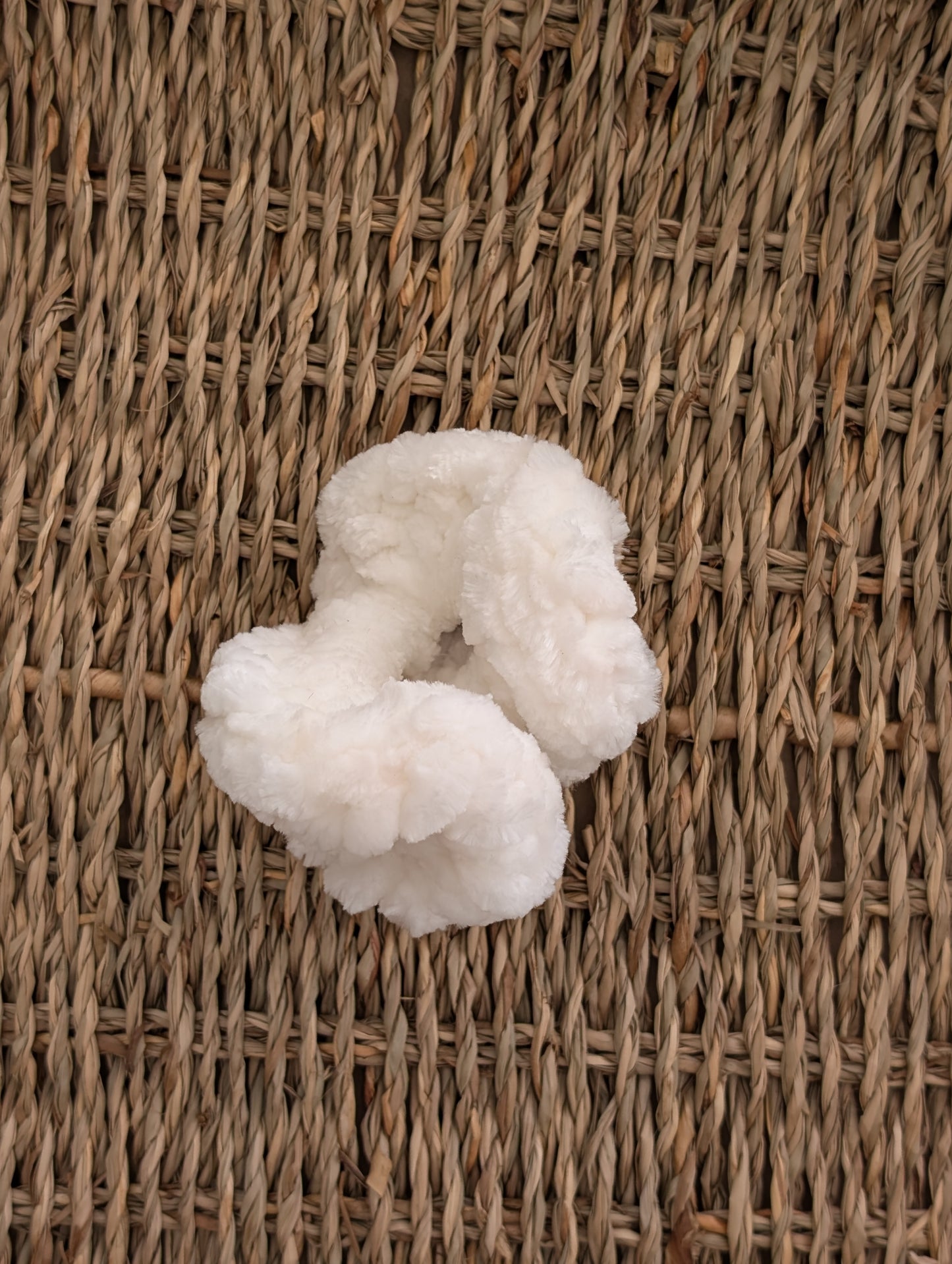 the Velvet Scrunchie