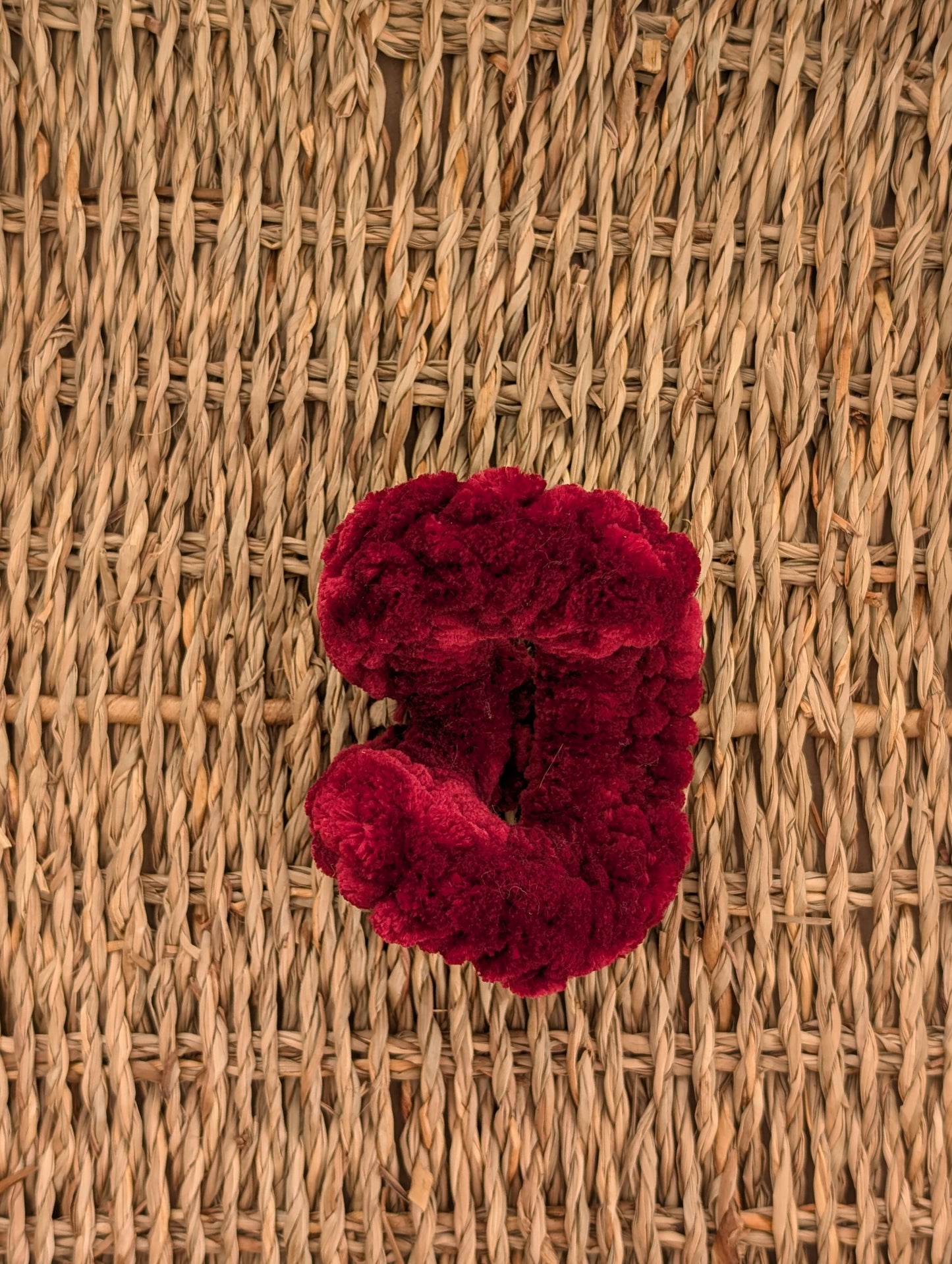 the Velvet Scrunchie