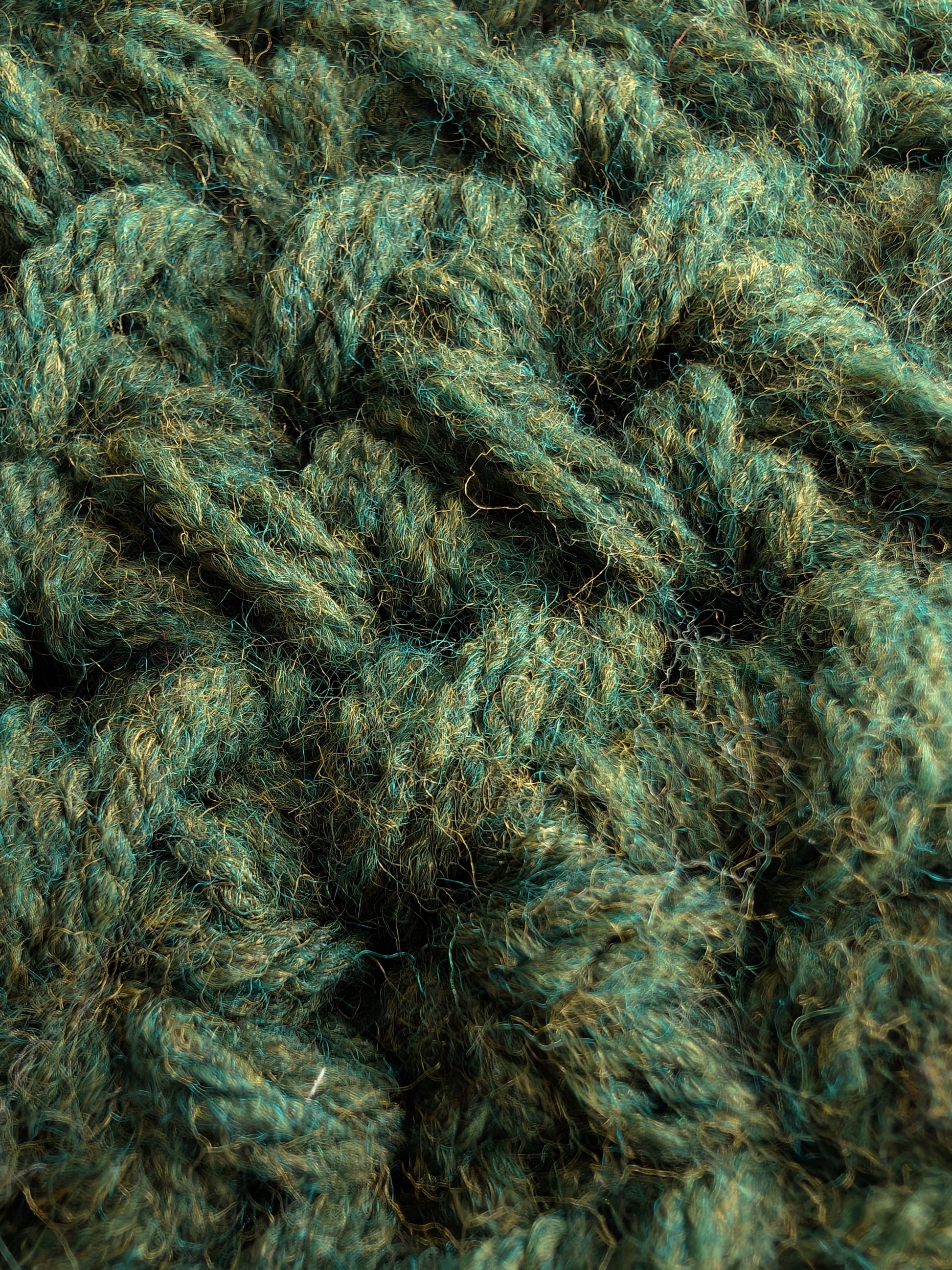 Close-up of Forest Green Heather
